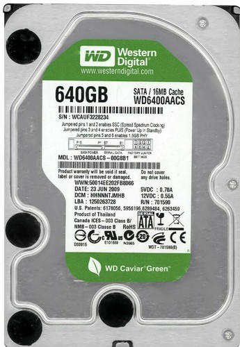 Festpllatte western digital - western,